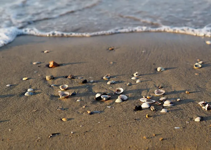 Experience The Breeze In Our Bright Flat Apartament *