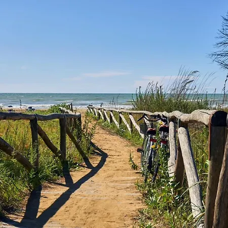 Experience The Breeze In Our Bright Flat Bibione