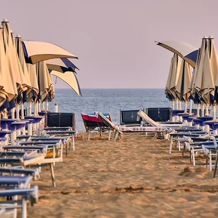 Experience The Breeze In Our Bright Flat Bibione