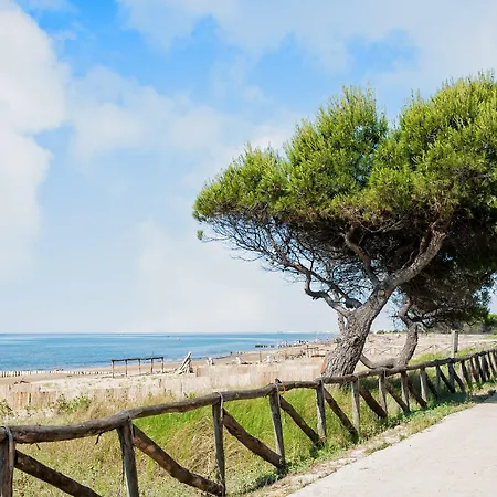 Experience The Breeze In Our Bright Flat