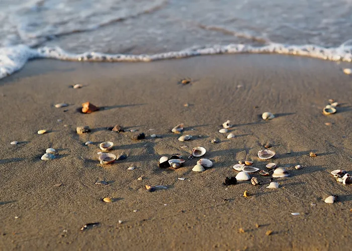 Experience The Breeze In Our Bright Flat Appartamento Bibione